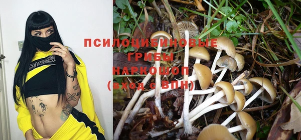 марки lsd Михайлов