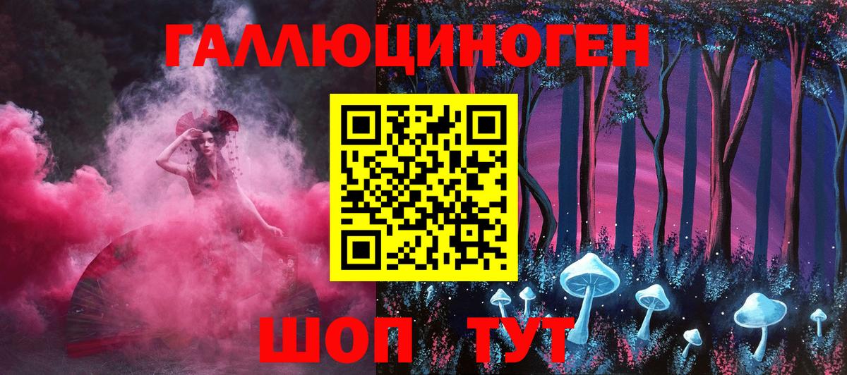 где продают   Псилоцибиновые грибы MAGIC MUSHROOMS  Вход с VPN  Канаш 