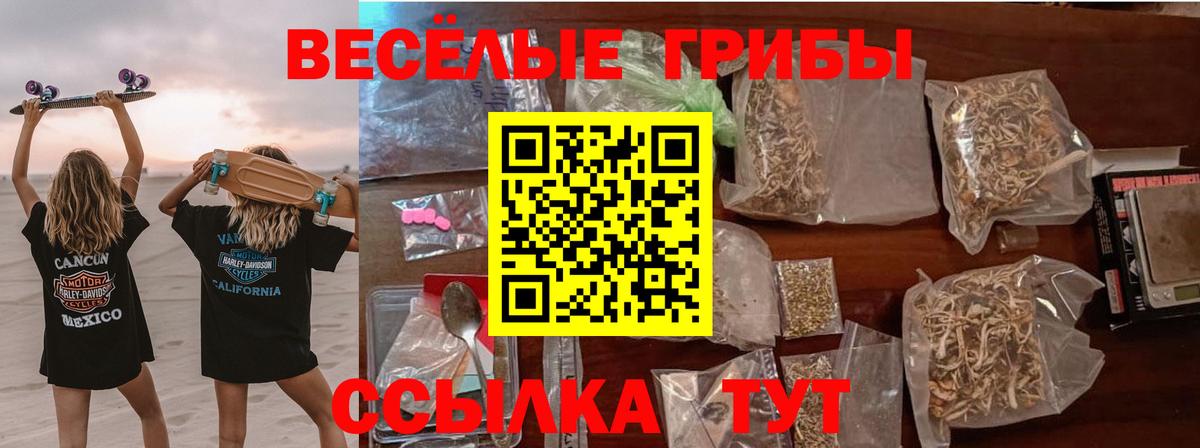 Псилоцибиновые грибы MAGIC MUSHROOMS Канаш