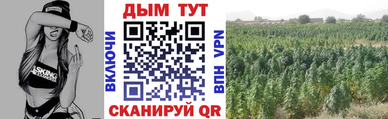 shop официальный сайт  Канаш  Бошки Шишки ГИДРОПОН 